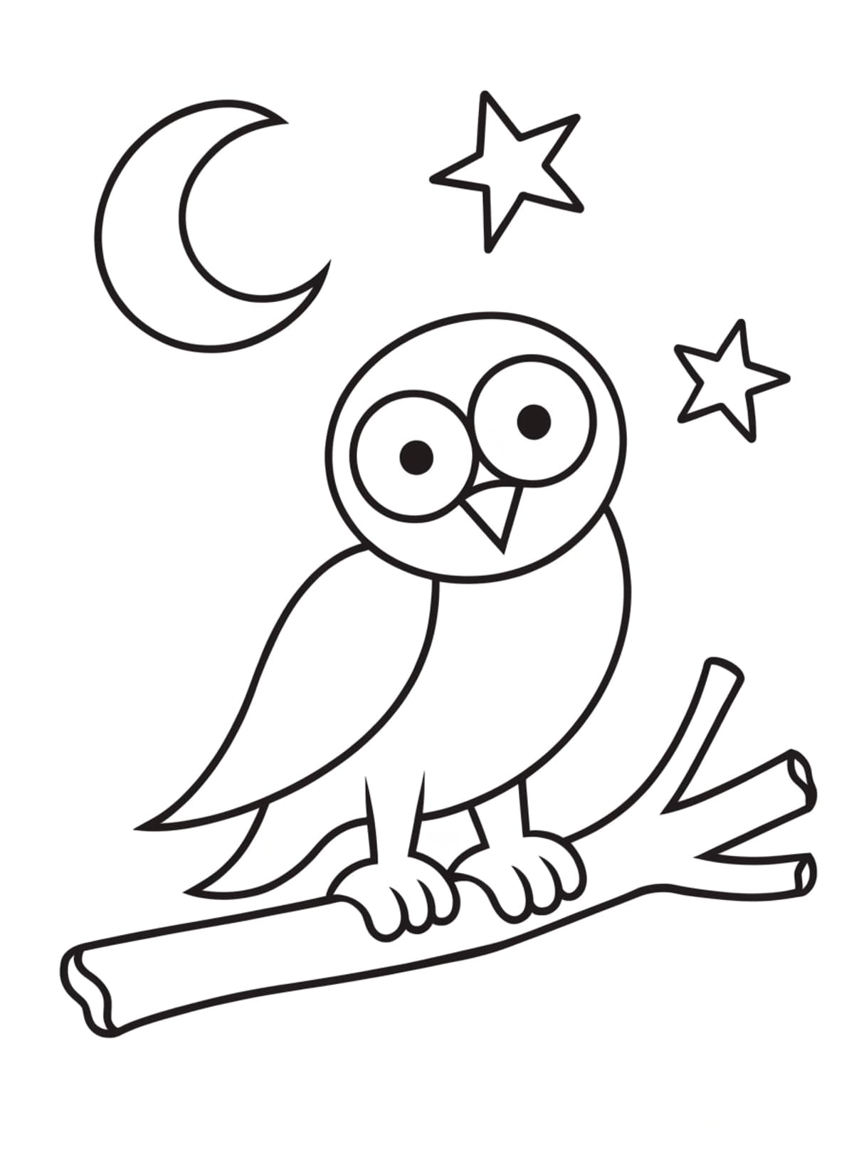 Omalovánka: sova sedí na větvi, nad ní srpek měsíce a hvězdy